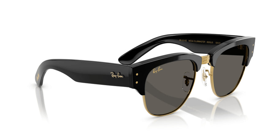 Blacked Out RB0316S – Black / Black