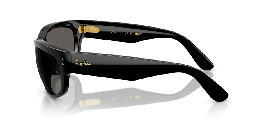 Blacked Out RB2289 – Black / Black
