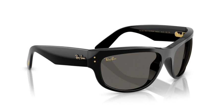 Blacked Out RB2289 – Black / Black