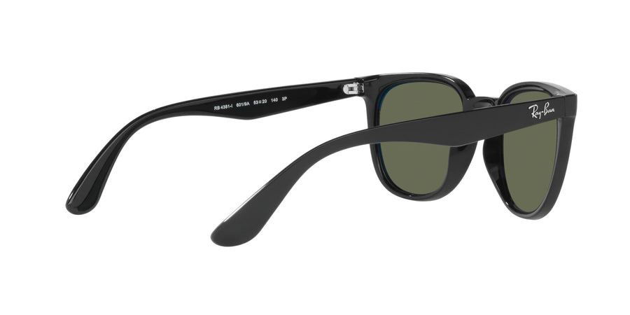 Casual Classic RB4381I – Black / Dark Green Polar