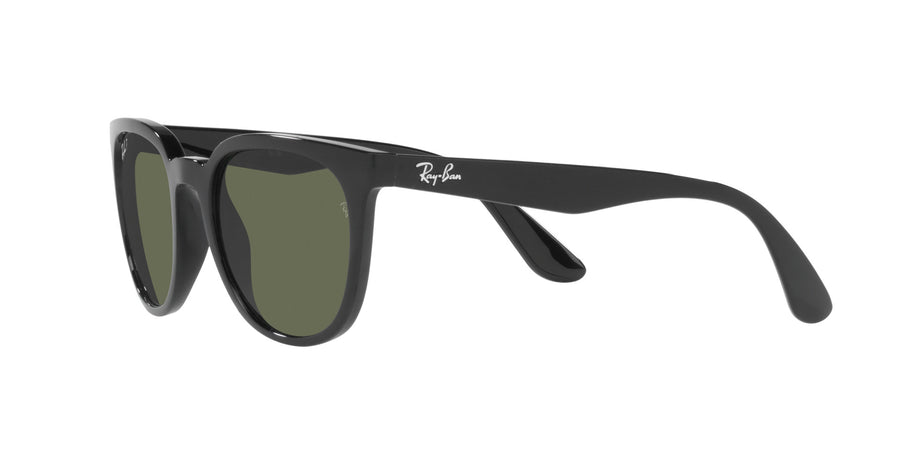 Casual Classic RB4381I – Black / Dark Green Polar