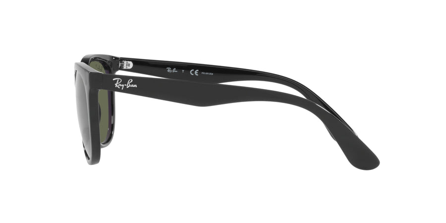 Casual Classic RB4381I – Black / Dark Green Polar