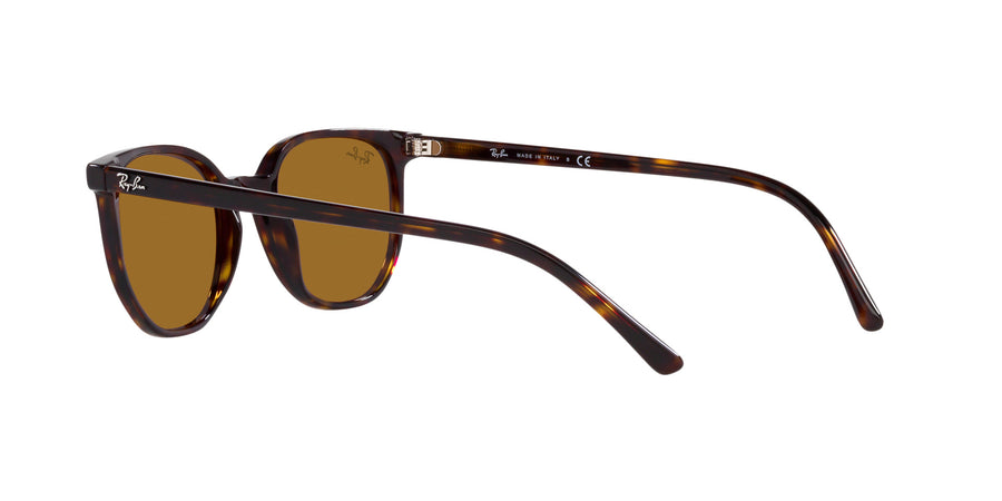 Elliot RB2197 – Havana / Brown