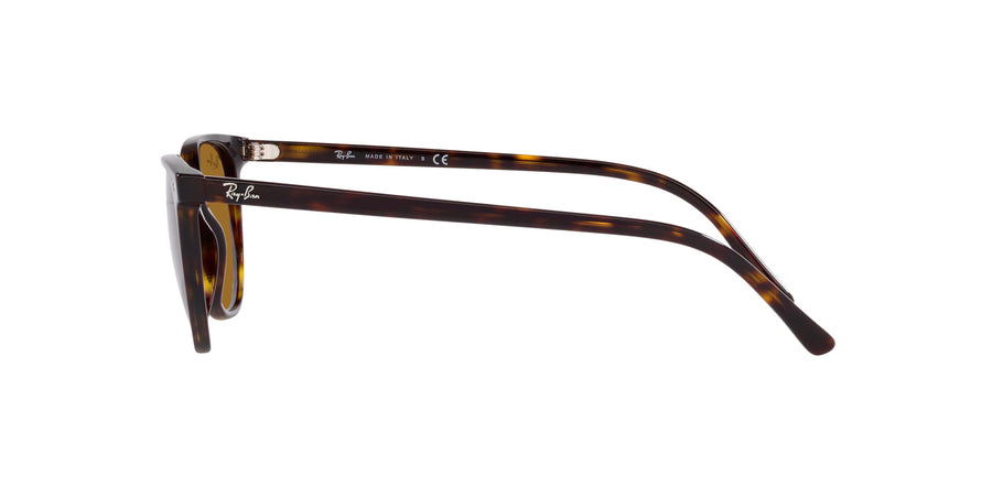 Elliot RB2197 – Havana / Brown