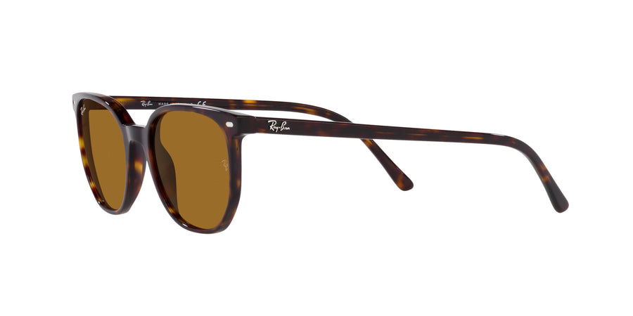 Elliot RB2197 – Havana / Brown
