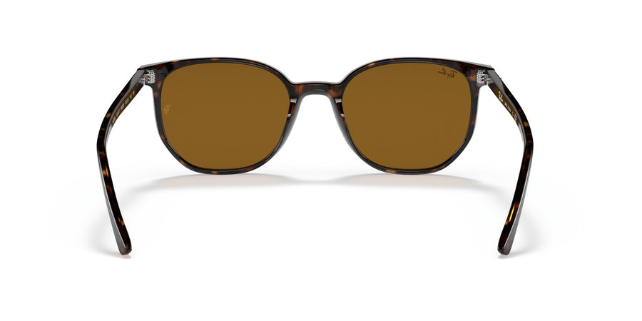 Elliot RB2197 – Havana / Brown