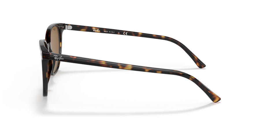 Elliot RB2197 – Havana / Brown