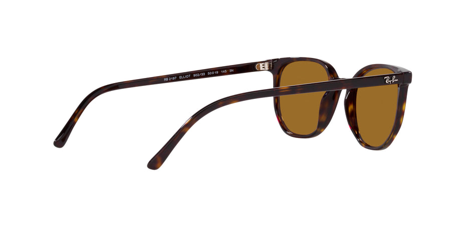 Elliot RB2197 – Havana / Brown