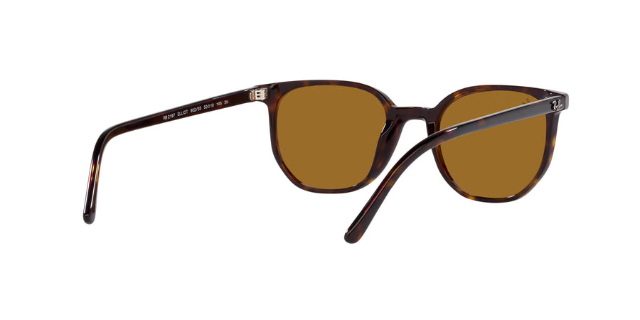 Elliot RB2197 – Havana / Brown