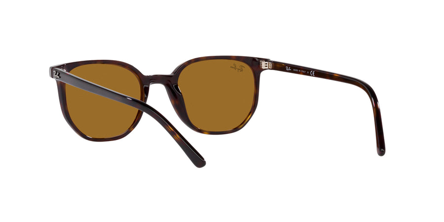 Elliot RB2197 – Havana / Brown