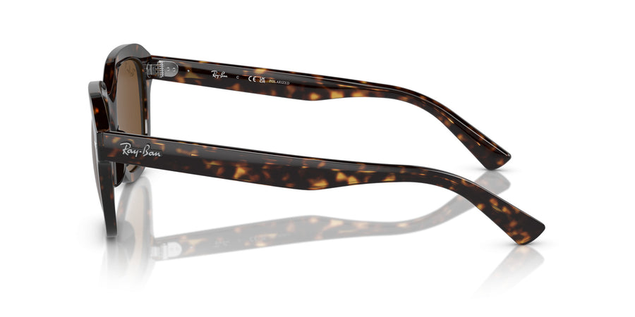 Erik RB4398 – Havana / Polar Brown