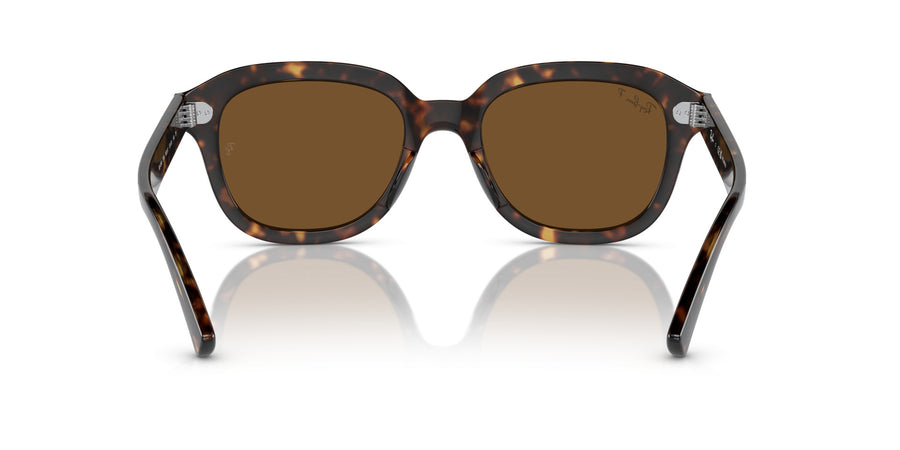 Erik RB4398 – Havana / Polar Brown
