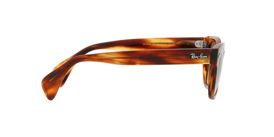 Evolution RB0880S – Striped Havana / Clear Gradient Brown