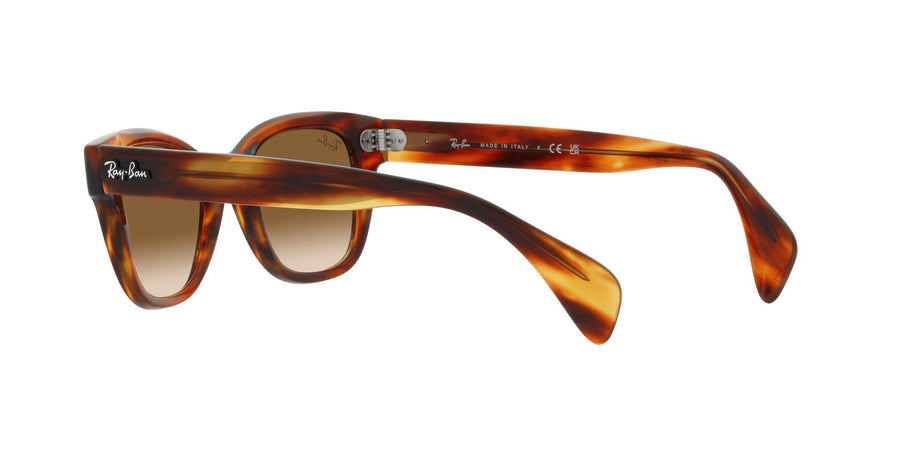 Evolution RB0880S – Striped Havana / Clear Gradient Brown