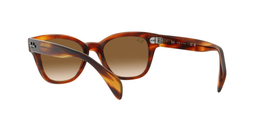Evolution RB0880S – Striped Havana / Clear Gradient Brown