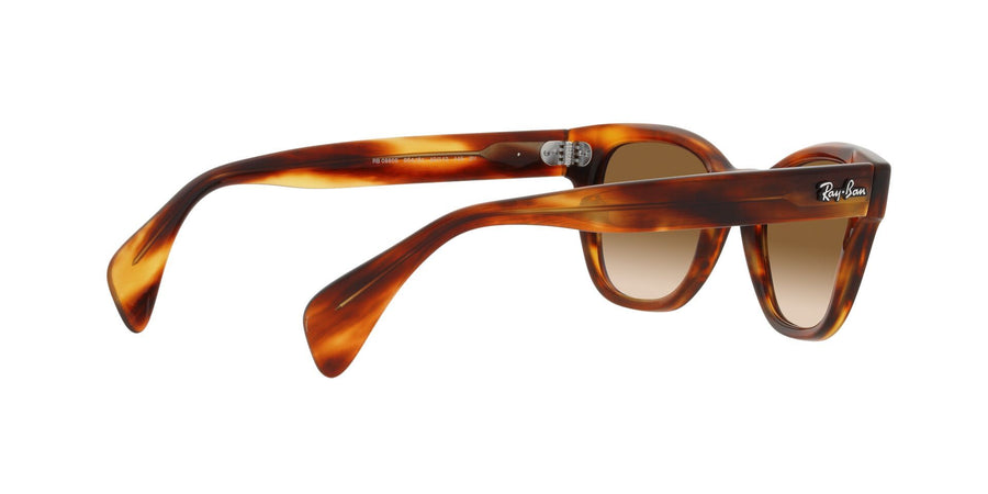 Evolution RB0880S – Striped Havana / Clear Gradient Brown