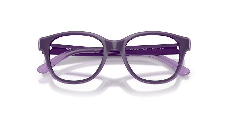 Injected Unisex Optical Frame RY1950 – Violet