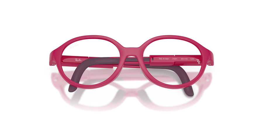 Injected Unisex Optical Frame RYA1981 – Violet