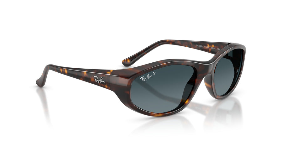 Injected Unisex Sunglass RB2228 – Havana / Polar Light Blue Gradient Dark Blue
