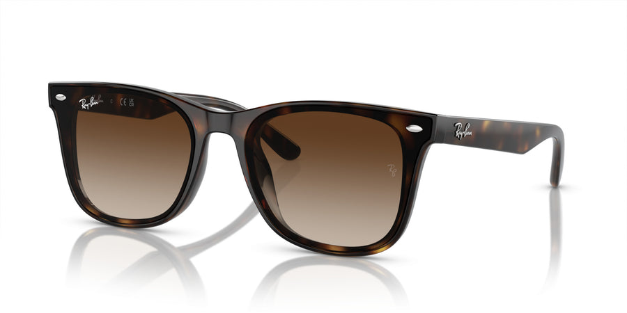 Injected Unisex Sunglass RB4420 – Havana / Brown Gradient
