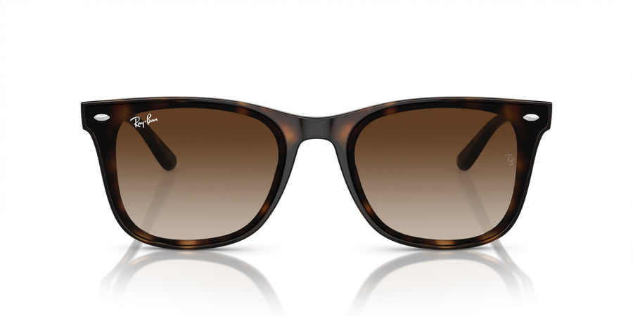Injected Unisex Sunglass RB4420 – Havana / Brown Gradient