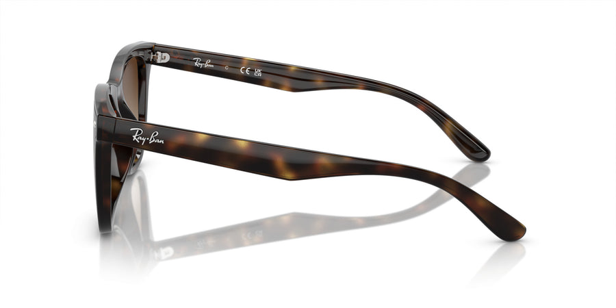 Injected Unisex Sunglass RB4420 – Havana / Brown Gradient