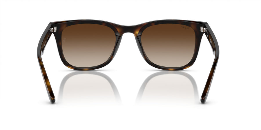 Injected Unisex Sunglass RB4420 – Havana / Brown Gradient