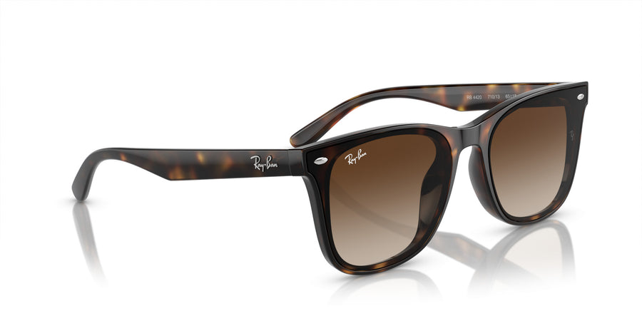 Injected Unisex Sunglass RB4420 – Havana / Brown Gradient