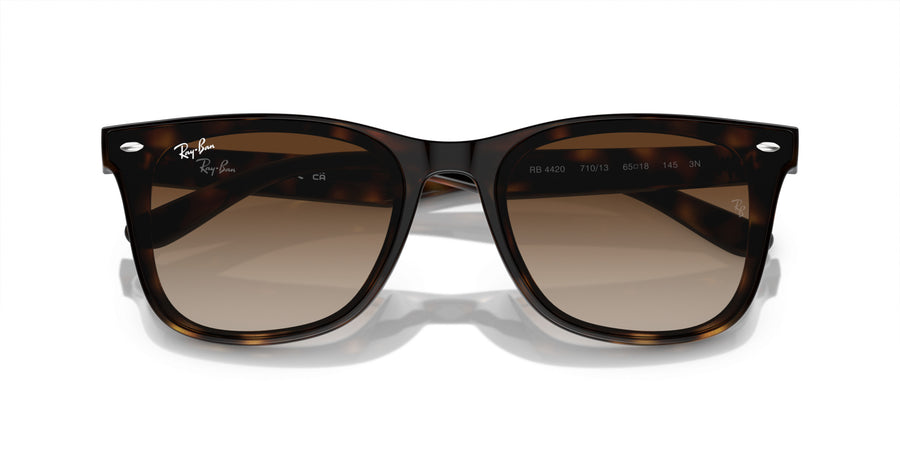 Injected Unisex Sunglass RB4420 – Havana / Brown Gradient