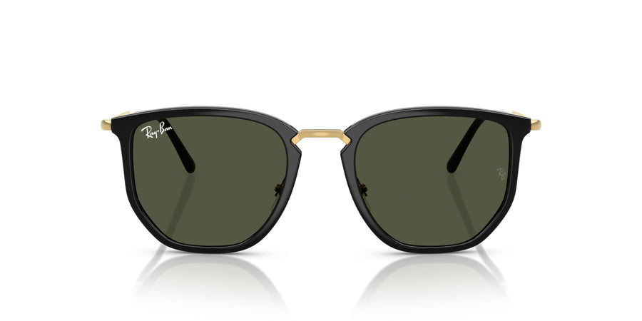 Injected Unisex Sunglass RB4451