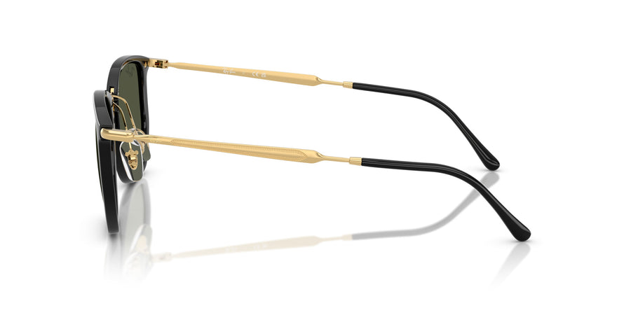 Injected Unisex Sunglass RB4451