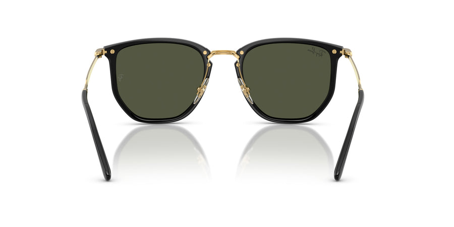 Injected Unisex Sunglass RB4451
