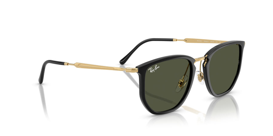Injected Unisex Sunglass RB4451