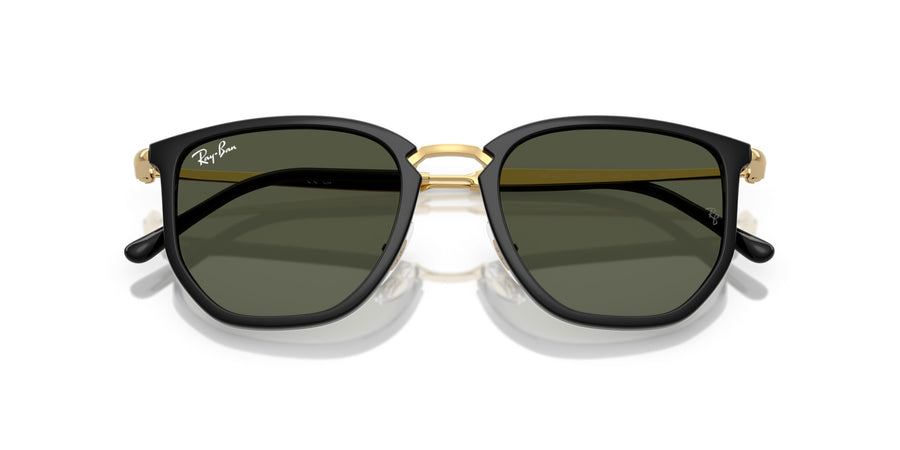 Injected Unisex Sunglass RB4451