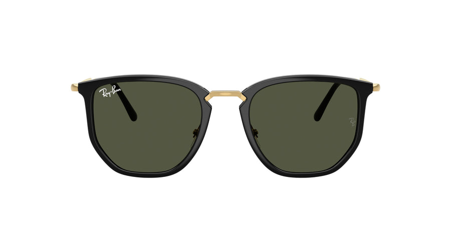 Injected Unisex Sunglass RB4451