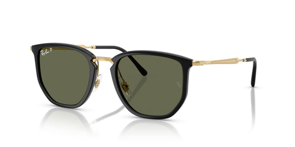 Injected Unisex Sunglass RB4451