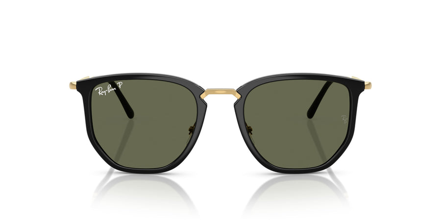Injected Unisex Sunglass RB4451