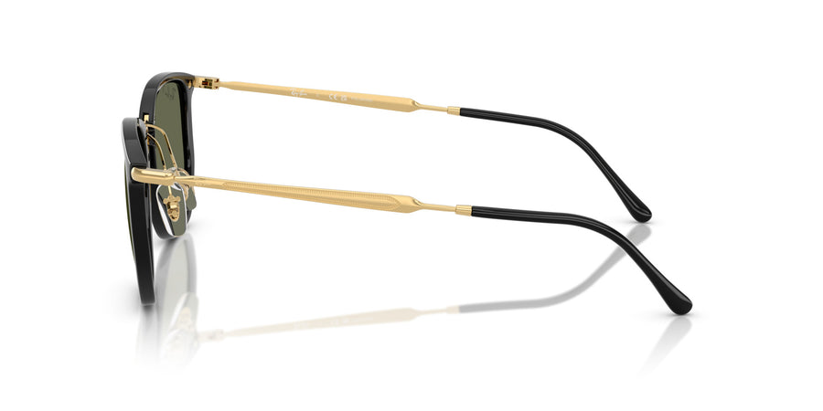 Injected Unisex Sunglass RB4451