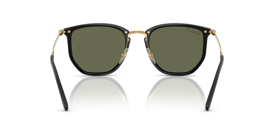 Injected Unisex Sunglass RB4451