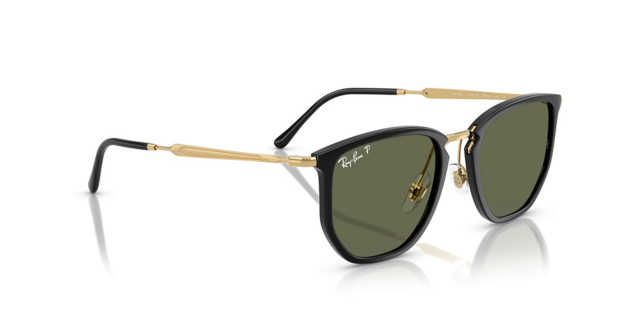 Injected Unisex Sunglass RB4451
