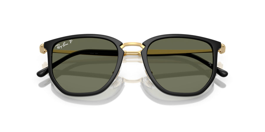 Injected Unisex Sunglass RB4451