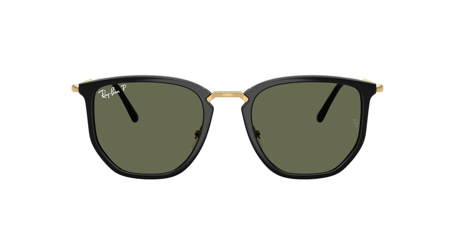 Injected Unisex Sunglass RB4451