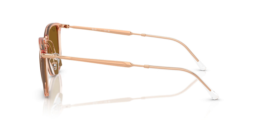 Injected Unisex Sunglass RB4451