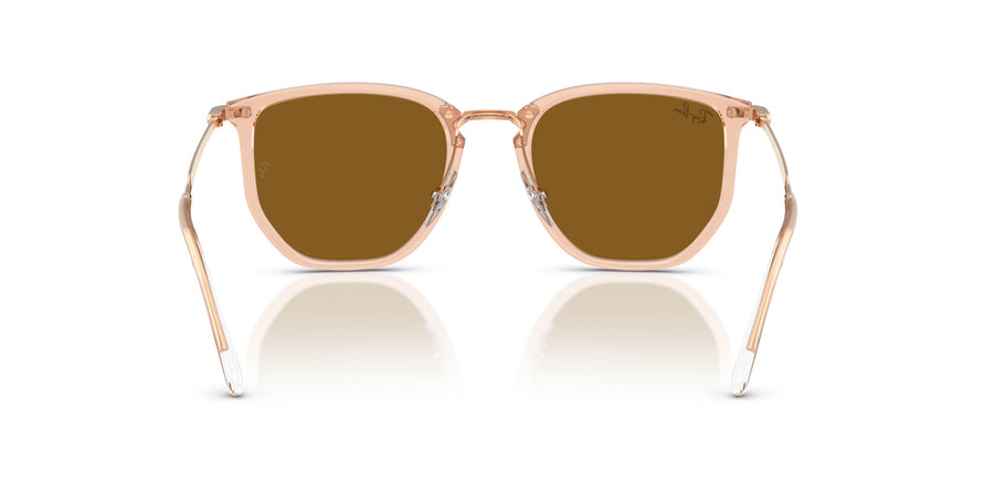 Injected Unisex Sunglass RB4451