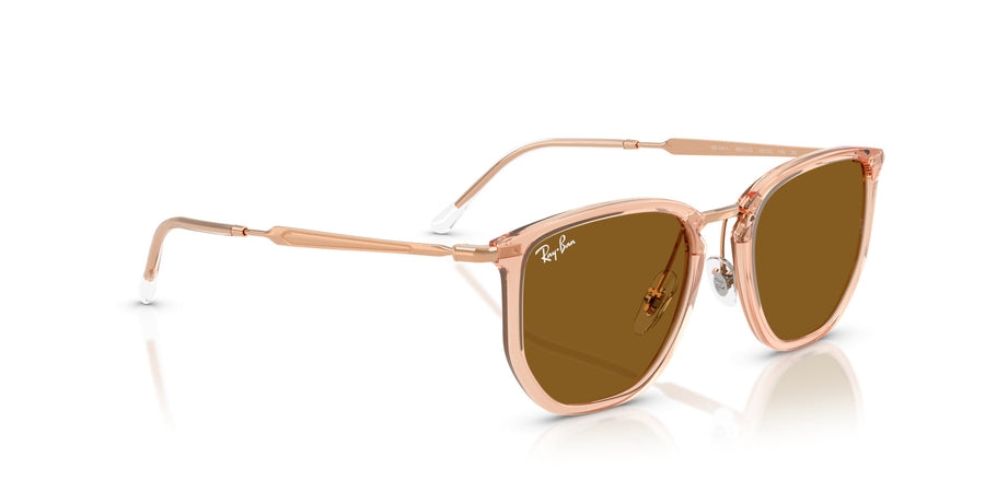 Injected Unisex Sunglass RB4451