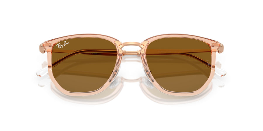 Injected Unisex Sunglass RB4451