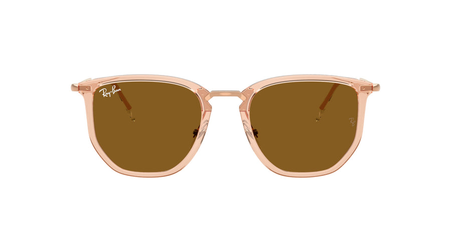 Injected Unisex Sunglass RB4451