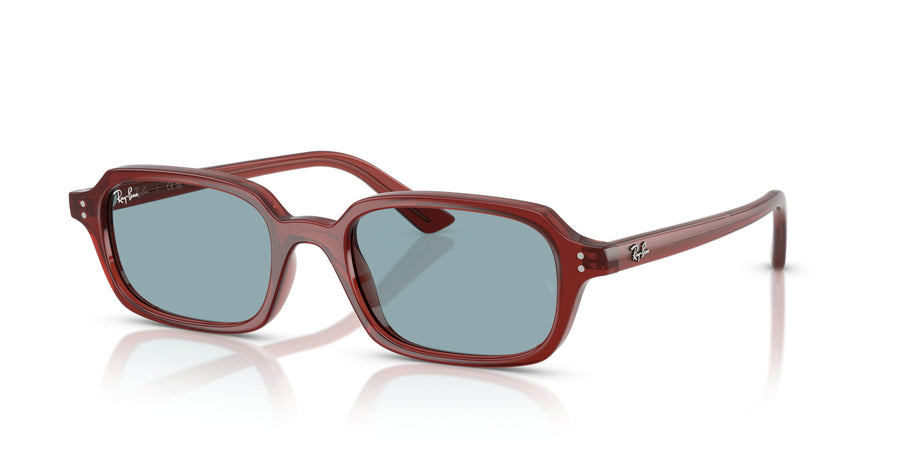 Zuri RB4455 – Brown
