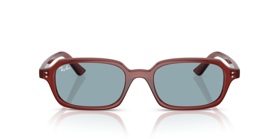 Zuri RB4455 – Brown