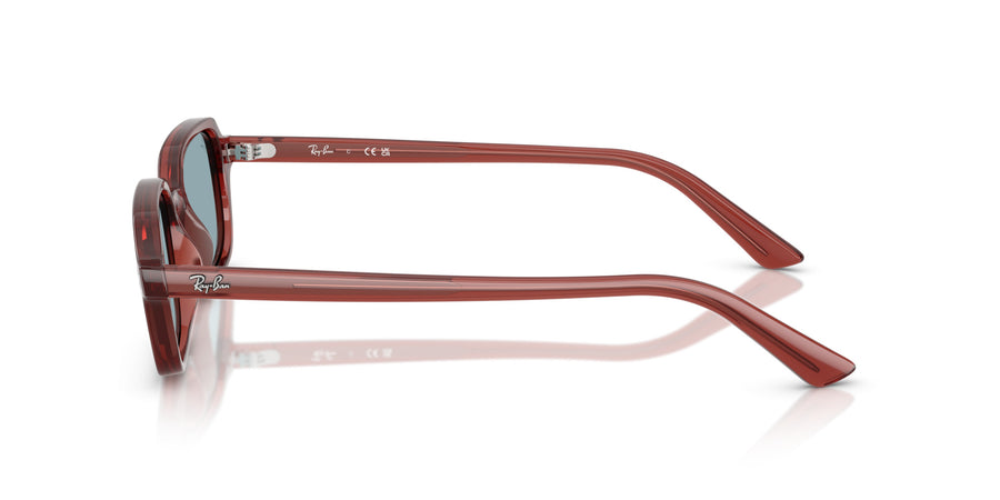 Zuri RB4455 – Brown